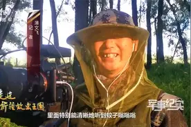 一双手能拍死100多只蚊虫！军事纪实：走进新疆蚊虫王国视频封面