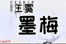 不要人夸颜色好，只留清气满乾坤-元代王冕《墨梅》赏析视频封面