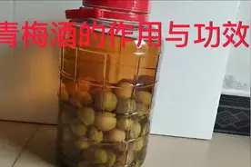 青梅酒的作用与功效视频封面