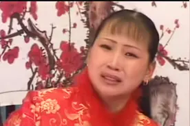 河南坠子《恶闺女》《巧嘴倔老婆》《傻子认匾》胡中花演唱视频封面