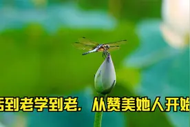 刘姥姥是怎么靠一张巧嘴三进大观园的，看这个视频。视频封面