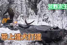 带着猎犬进入大雪覆盖的森林，自己动手凿冰抓鱼，和狗子一起打猎视频封面