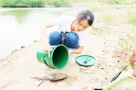 听说清道夫死后能复生，美女试了一下，是否真的能复活吗？视频封面