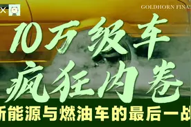 雷军造车遭泼冷水背后，10万级车正在疯狂内卷视频封面