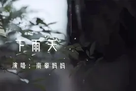 南拳妈妈经典《下雨天》，被爱的人也同样伤得很深！视频封面