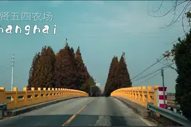 虚拟逛上海：奉贤五四农场视频封面