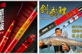 300元和1300元的鱼竿有啥区别？真的只是换个标吗？