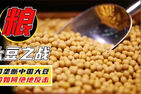 中国大豆VS美国资本，85%的粮油企业被收购，中国如何绝地反击？视频封面