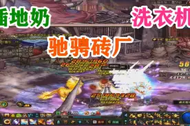 DNF：有了洗衣机护石后的插地奶终于可以驰骋砖厂了视频封面