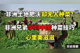 中国人在非洲种菜，咱们的祖传技艺，居然被非洲兄弟学习去了？视频封面