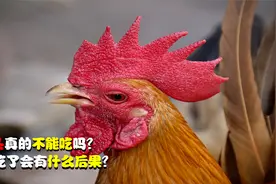 “十年鸡头胜砒霜，鸡冠越老毒越深”，鸡头这么可怕，还能吃吗？视频封面