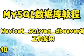 10.MySQL数据库教程——Navicat_SQLyog_dbeaver等工具使用【转载视频封面