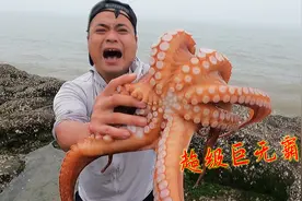 新海域赶海就是给力，一只手抓不住的超级巨无霸，一只直接爆桶了视频封面