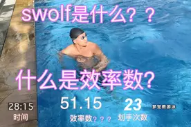 【梦觉】什么是游泳效率数？跟swolf有什么区别？视频封面