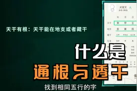 通根和透干视频封面