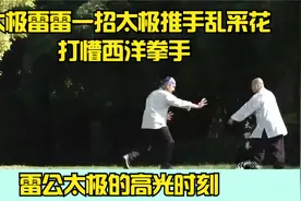 太极雷雷一招太极乱采花打懵西洋拳手| 雷公太极的高光时刻视频封面