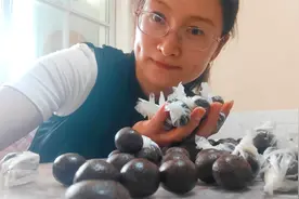 纯手工制作大蜜丸从熬蜂蜜开始，零失败教程，在家就能做视频封面