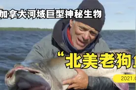 神秘巨型生物出现在加拿大河域，身体比公交车都大还会攻击人类！视频封面