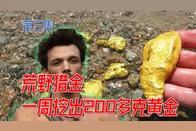 淘金队两周挖出2公斤黄金，价值十几万美元，淘金客赚发了视频封面