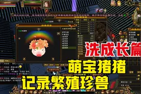 天龙八部端游：记录繁殖萌宝猪猪（上），洗成长篇。