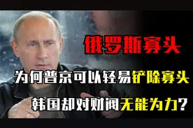 为何普京可以轻易的铲除俄罗斯寡头，而韩国却对财阀无能为力？视频封面