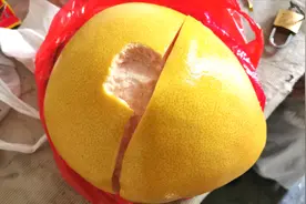 广西贺州买的大柚子，0.95元一斤，4斤多，回家剥开一看傻眼了视频封面
