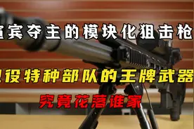 喧宾夺主的模块化狙击枪，现役特种部队的王牌武器，究竟花落谁家
