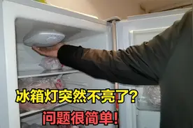 冰箱里的灯突然不亮了？你先别着急，这种小问题自己就能简单搞定视频封面
