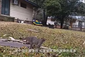 男子一脚踢飞猫咪，人们纷纷谴责却不知真相！视频封面