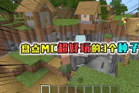 盘点MC超好玩的3个种子，第3个有稀有的雪屋，快去救僵尸村民吧视频封面