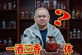 中端价高端品质？落魄贵族酒鬼紫坛20，浓酱清一体是什么味？视频封面