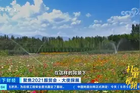 马来西亚驻华大使：马中两国在可持续发展领域合作紧密|天下财经视频封面