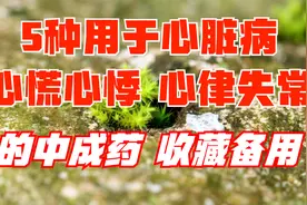 5种常用于心脏病、心慌心悸、心律失常的中成药，建议收藏视频封面