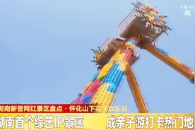 怀化山下花海欢乐谷：湖南首个综艺IP景区，成亲子游打卡热门地视频封面