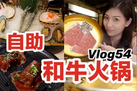 超大盘·和牛自由~Vlog54.KOI黑芝麻系列新品视频封面