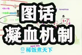 【绘画生理学 】图说凝血机制视频封面