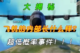 天才米妮：飞机的内部是长什么样？用上帝视角触发超低概率事件！视频封面