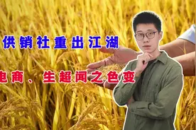 供销社重出江湖，电商、生超闻之色变视频封面