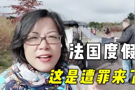 四姐一家去法国森林度假遭了大罪，我们在中国都没受过这委屈！视频封面