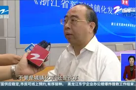 浙江省新型城镇化发展“十四五”规划：未来5年 浙江新型...视频封面