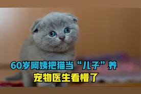 60岁的阿姨把猫咪当“亲儿子”养，满脸的宠溺，医生看的都尴尬了