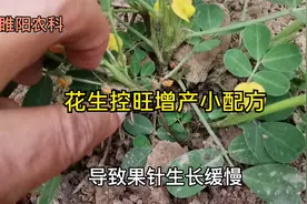 花生控旺增产小配方，开花下针期喷2遍，既防病害又能增产视频封面