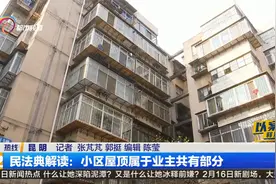 民典法解读：小区屋顶属于业主共有部分视频封面