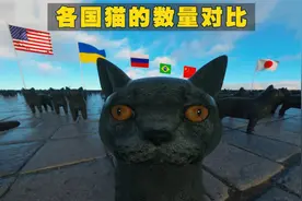 不同国家和地区猫的数量对比，看看哪个国家拥有最多的猫？