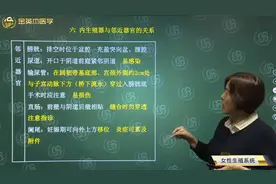女性生殖系统-内生殖器与膀胱、尿道、输尿管、直肠、阑尾的关系视频封面