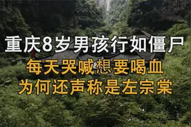 重庆8岁男孩行为似僵尸，每天哭喊着要喝血，为何还自称是左宗棠视频封面