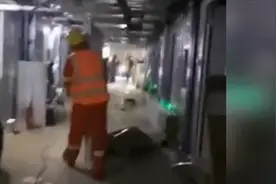 紧随其后！火神山建成完毕交付，雷神山医院项目也进展迅速