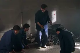 村官微服私访帮村民买煤，不料遇上地头蛇，厂长得知身份下跪道歉视频封面