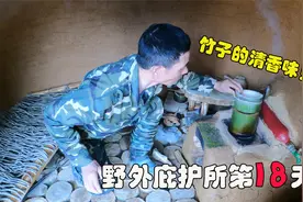 野外庇护所第18天！竹筒饭原来可以这样做，里面全是竹子的清香味视频封面