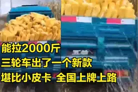 五羊电动三轮车发布新款，能拉2000斤，堪比小皮卡，全国上牌上路视频封面